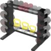 PROIRON Compact Dumbbell Rack, Weight Rack for Dumbbells Kettlebells Home Gym Storage, Multi-layer Weights Stand Holder (Rack Only)
