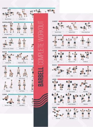 PosterMate - FitMate Dumbbell and Barbell Workout Exercise Poster, 2-Pack, Workout Routine with Free Weights, Home Gym Decor, Room Guide (42 x 63 cm)