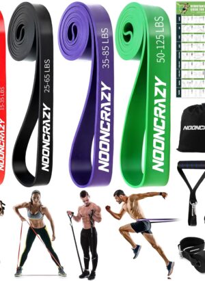 nooncrazy Resistance Bands Set, Pull Up Assistance Bands 4 Different Levels with Handles & Door Anchor & Training Poster, Gym Bands for Strength Training, Yoga, Muscle Toning for Men and Women